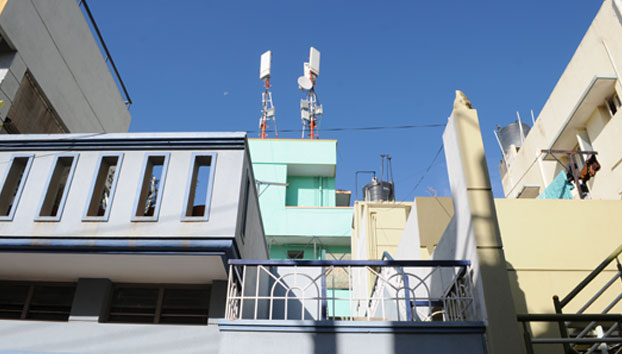 Image Here